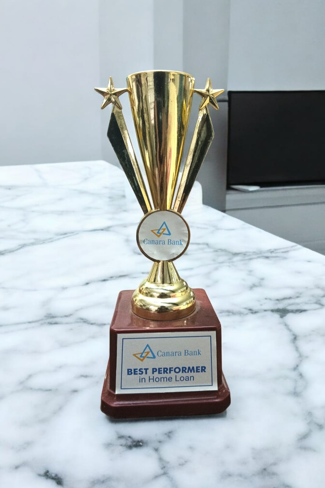 Best Corporate Excellence Award